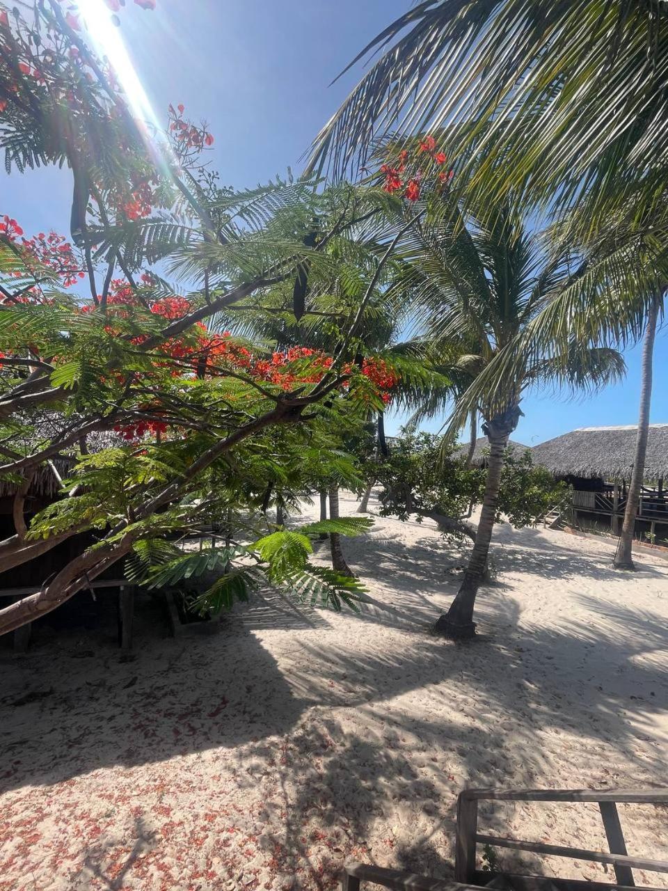 Atins Beach Chales Ngoại thất bức ảnh